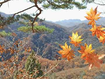 中医祛斑最有效的8个偏方实时百科资料